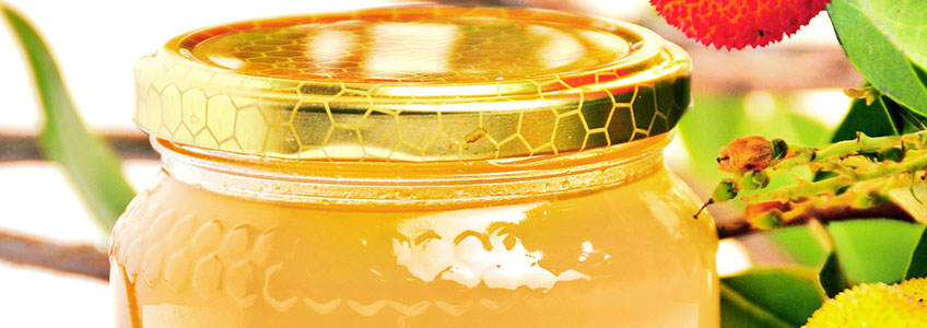 Il Prof. Maurizio Battino partecipa ad uno studio sul miele di corbezzolo nel cancro del colon